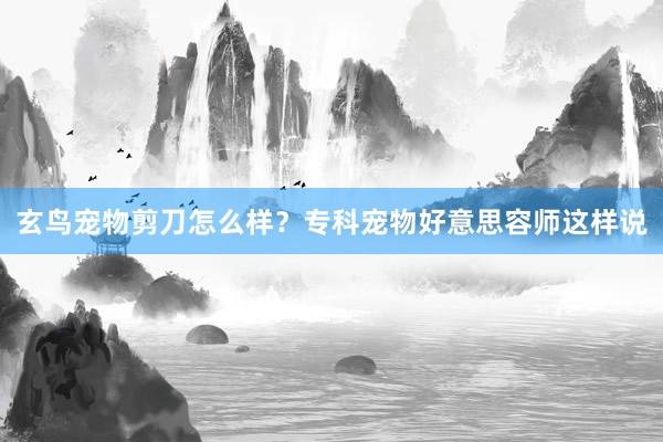 玄鸟宠物剪刀怎么样？专科宠物好意思容师这样说